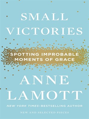 Cover of Small Victories